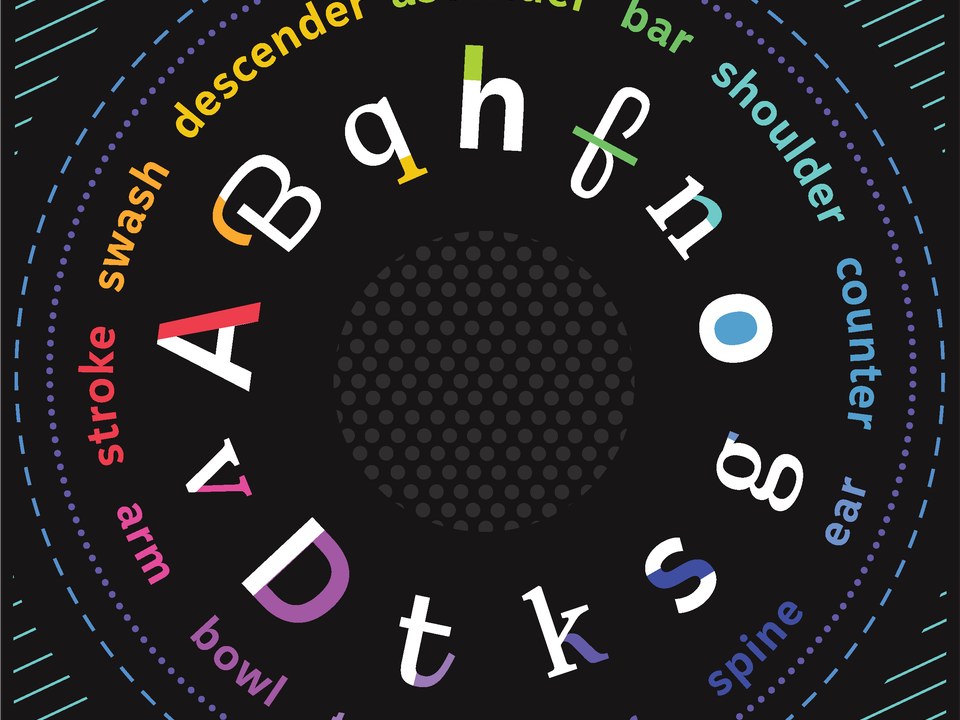 Type Anatomy poster